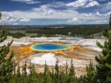 Esplorando Yellowstone: Un Paradiso Naturale nel Cuore degli Stati Uniti