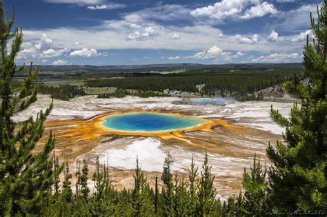 Esplorando Yellowstone: Un Paradiso Naturale nel Cuore degli Stati Uniti